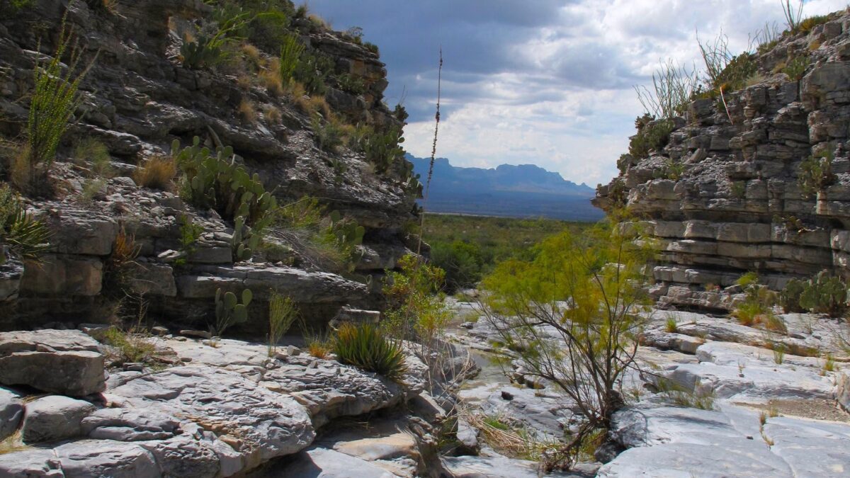 Canyon in Big Bend National Park with a small tinaja.