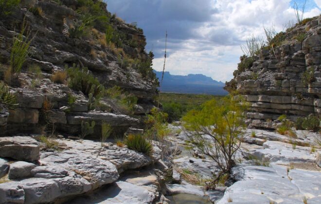 Canyon in Big Bend National Park with a small tinaja.