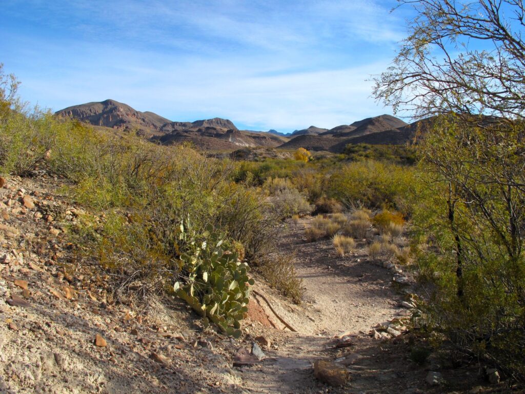 Sandy Trail in Big Bend National Park