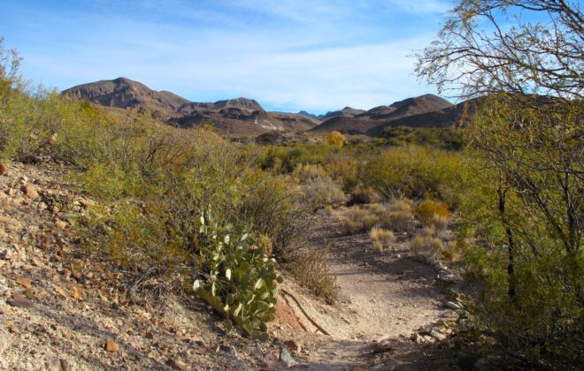 Sandy Trail in Big Bend National Park