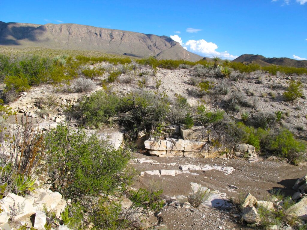 View from Old Ore Road in Big Bend National Park