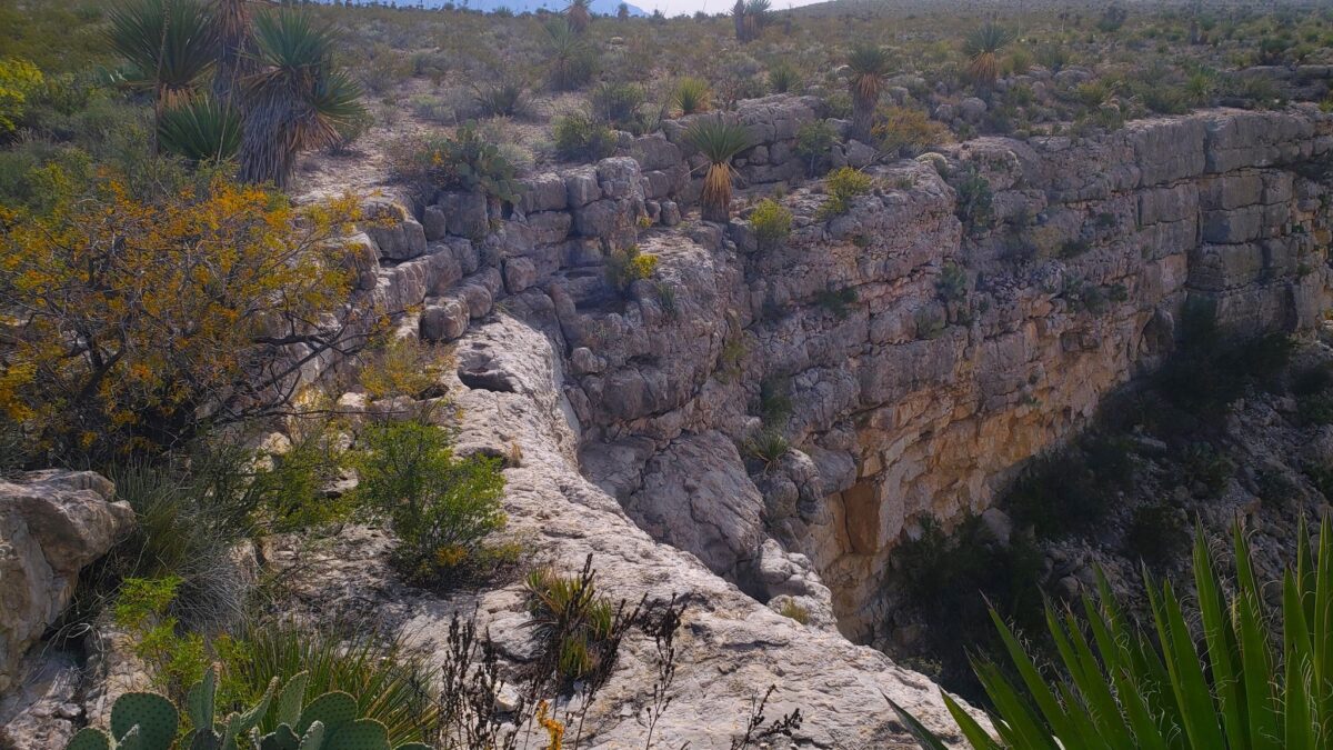 The head of Leupold Tinaja, west of the Deadhorse Mountains and somewhat south of Dagger Flat, Big Bend National Park