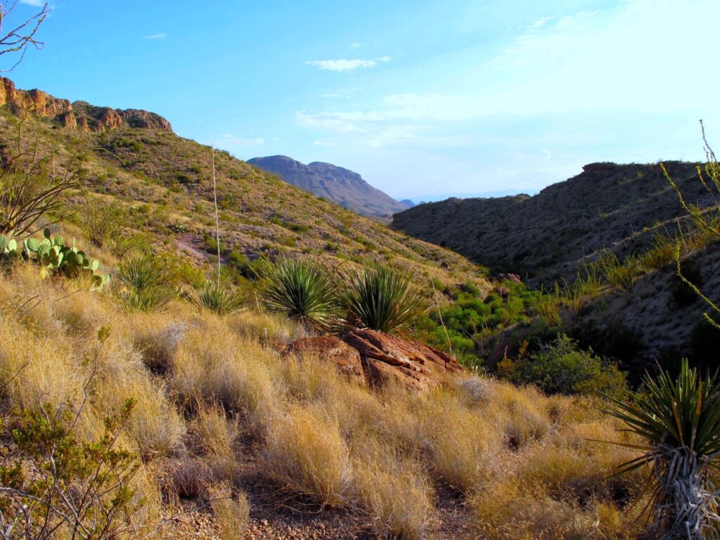 Beautiful view of Big Bend National Park