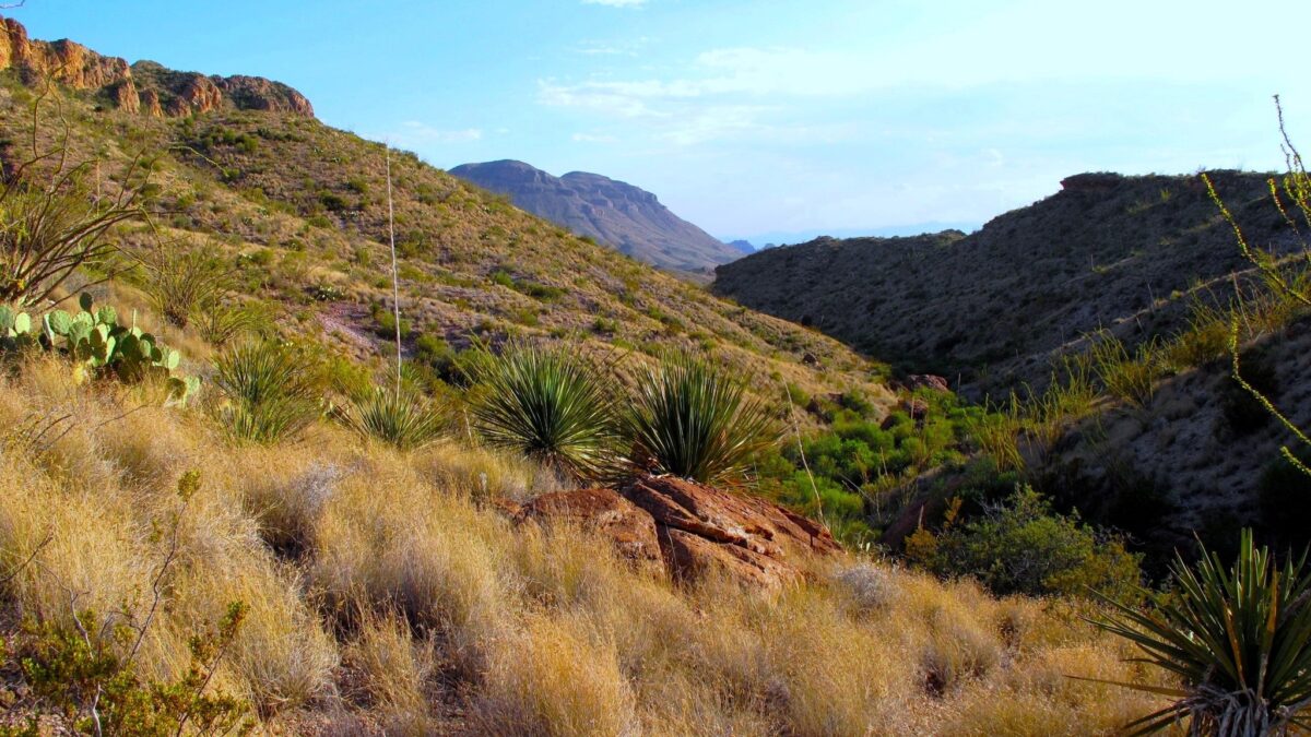 Beautiful view of Big Bend National Park
