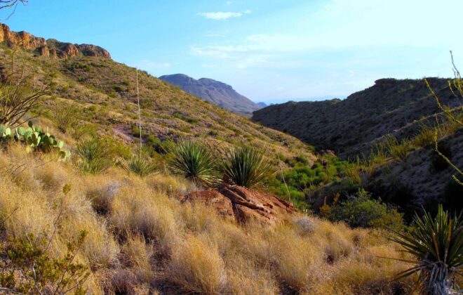Beautiful view of Big Bend National Park