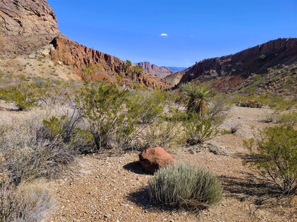 Canyon in Big Bend National Park