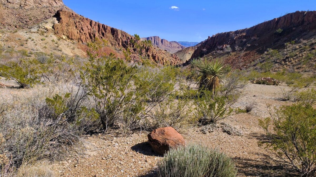 Canyon in Big Bend National Park
