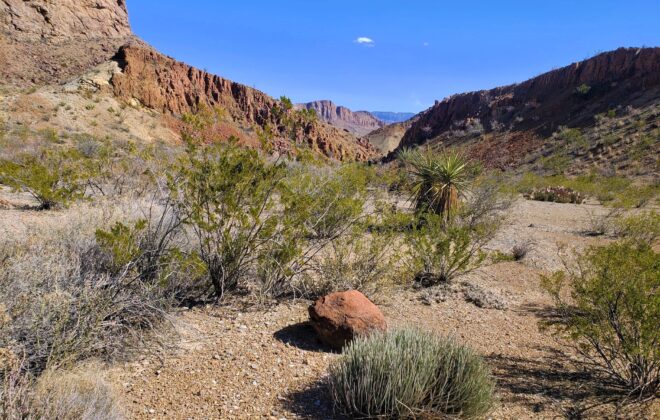 Canyon in Big Bend National Park