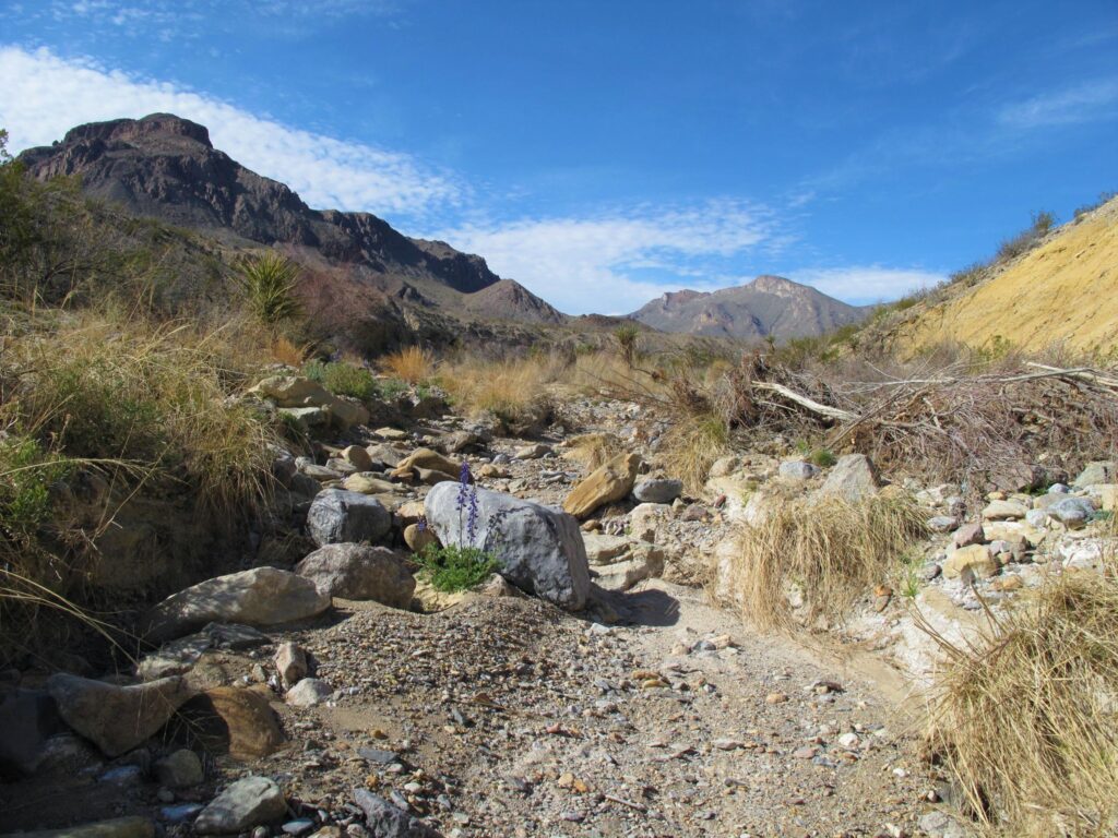 Little Christmas Mountain with Christmas Mountains in the background in Big Bend National Park