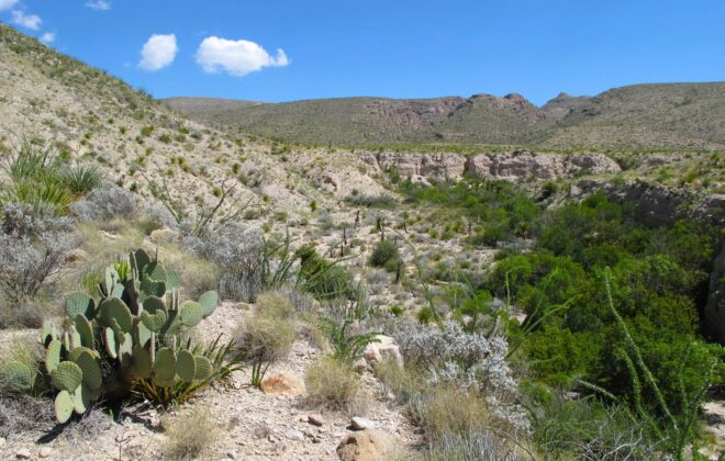 Near the Dead Horse Mountains in the Big Bend National Park