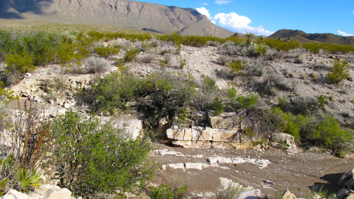 Trail near Mule Ears in Big Bend National Park
