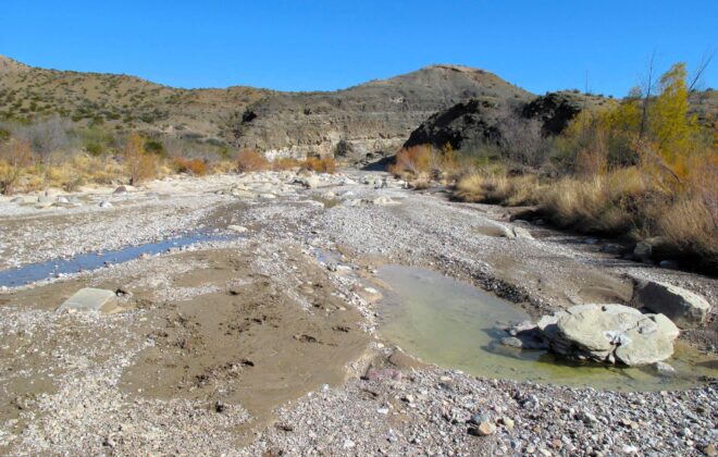 Stream in the Big Bend National Park. Photo by Ben H. English