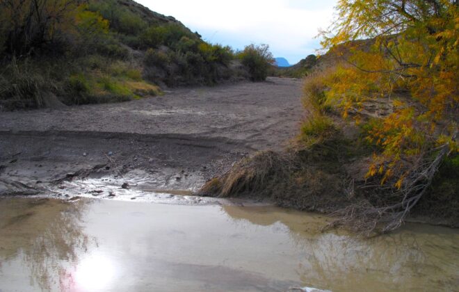 Streambed in Big Bend National Park