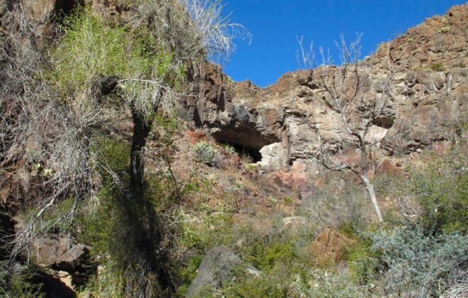 Prehistoric cave set into the side of Burro Mesa in Big Bend National Park.