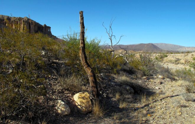Old fencepost on the trail to Banta Shut-In in the Big Bend National Park.