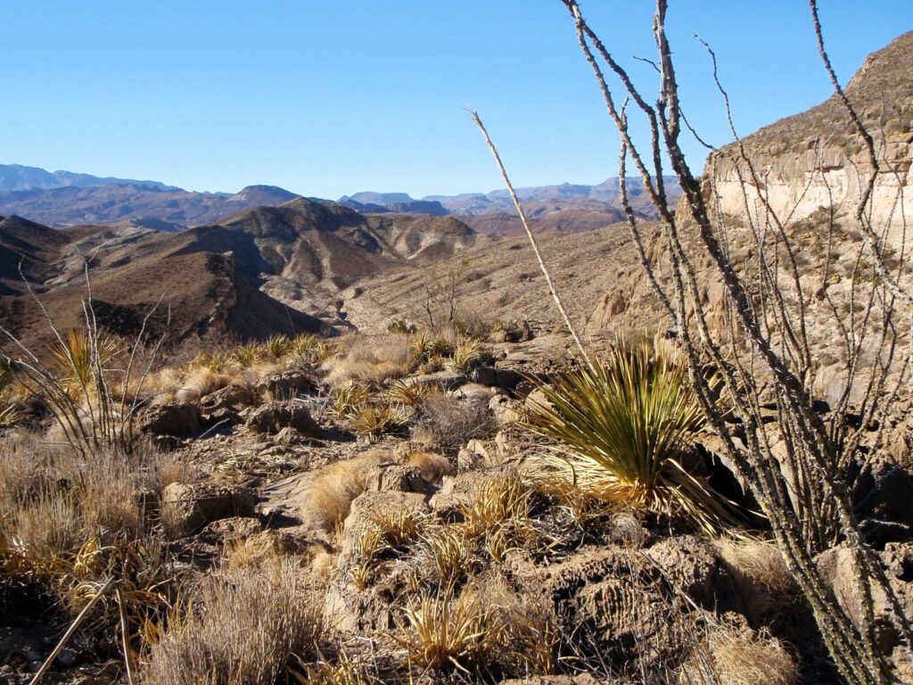 Desert canyon view from the top of Anguila Mesa near Lajitas, TX.