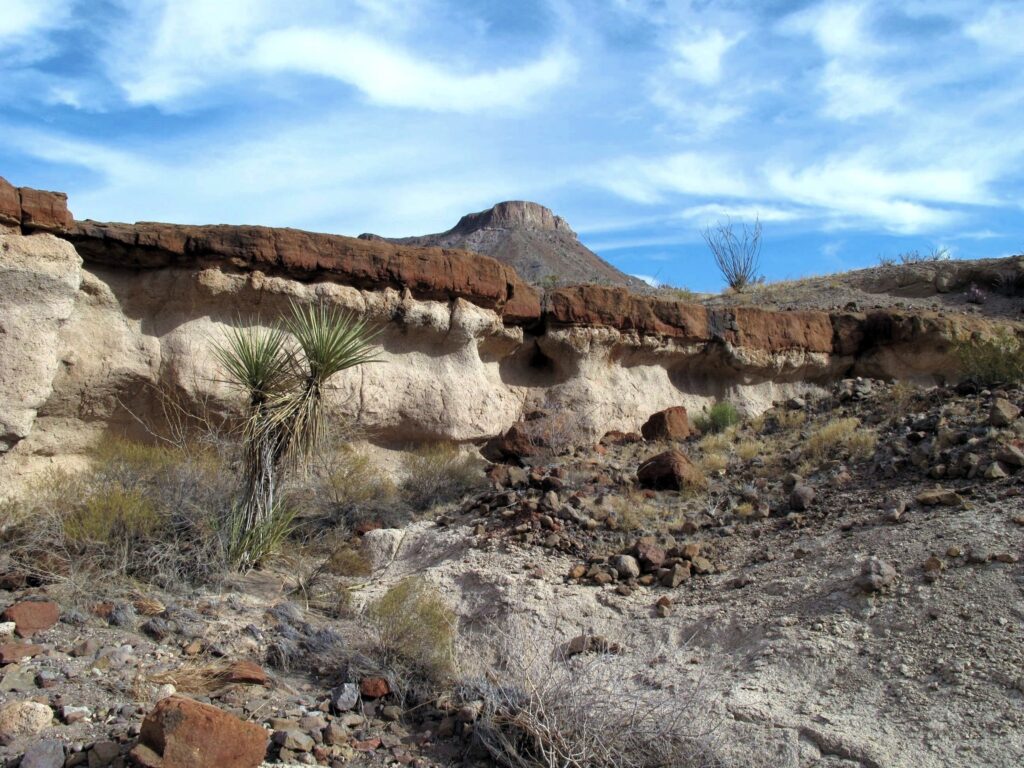 Rimrock of red stone with white soil beneath. Beautiful blue sky in above with desert flora in the foreground.