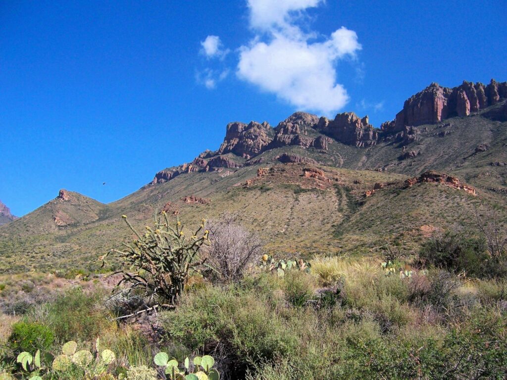 Crown Mountain in the Big Bend National Park, with desert flowers and blue skies.